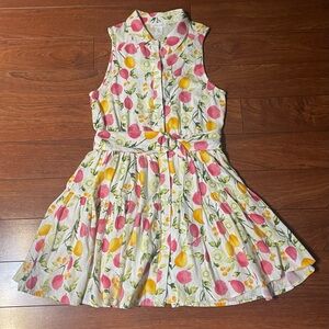 Cynthia Rowley Dress Size 8 Linen Blend Tiered Button Belted Dress Lined Fruits
